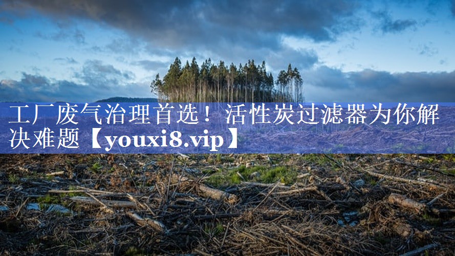 工厂废气治理首选！活性炭过滤器为你解决难题