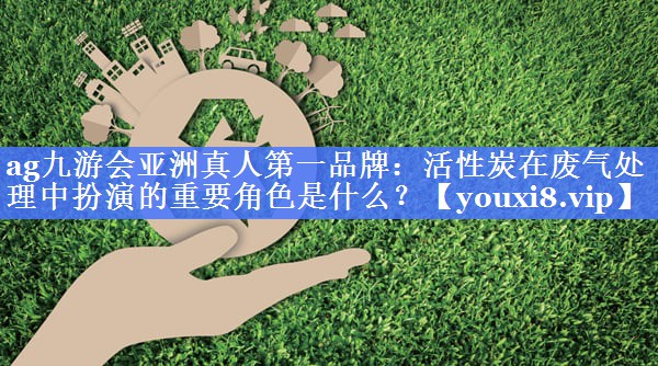 ag九游会亚洲真人第一品牌：活性炭在废气处理中扮演的重要角色是什么？