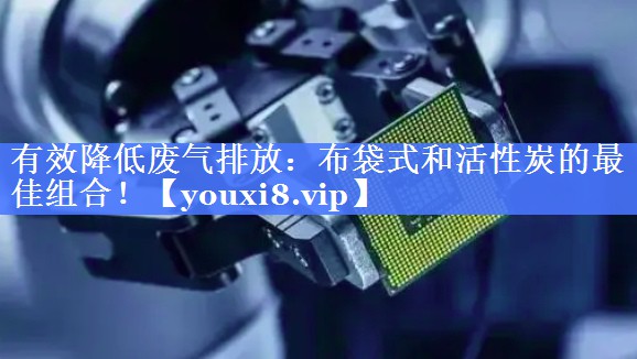 有效降低废气排放：布袋式和活性炭的最佳组合！