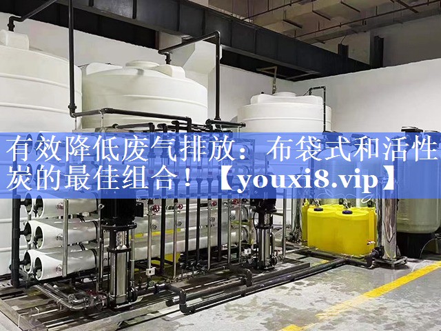 有效降低废气排放：布袋式和活性炭的最佳组合！