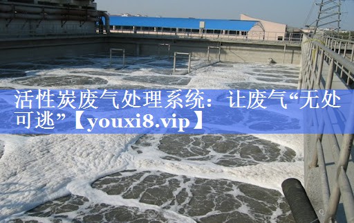 活性炭废气处理系统：让废气“无处可逃”