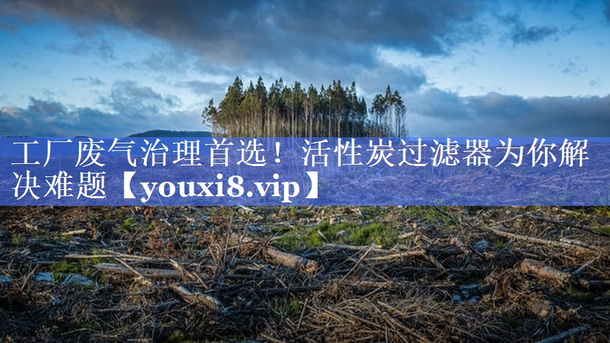 工厂废气治理首选！活性炭过滤器为你解决难题