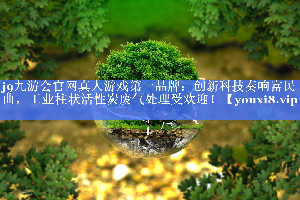 创新科技奏响富民曲，工业柱状活性炭废气处理受欢迎！