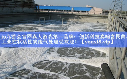 创新科技奏响富民曲，工业柱状活性炭废气处理受欢迎！
