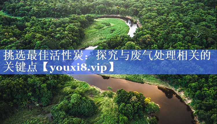 挑选最佳活性炭：探究与废气处理相关的关键点