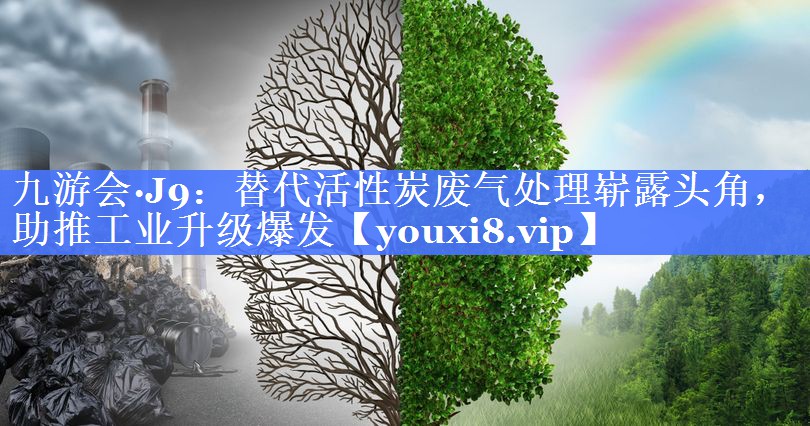 替代活性炭废气处理崭露头角，助推工业升级爆发