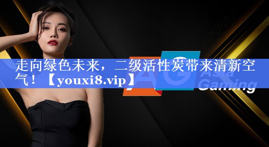 走向绿色未来，二级活性炭带来清新空气！
