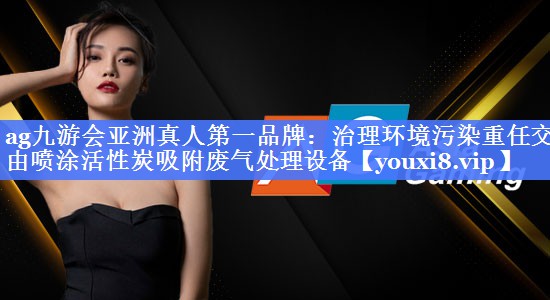 治理环境污染重任交由喷涂活性炭吸附废气处理设备