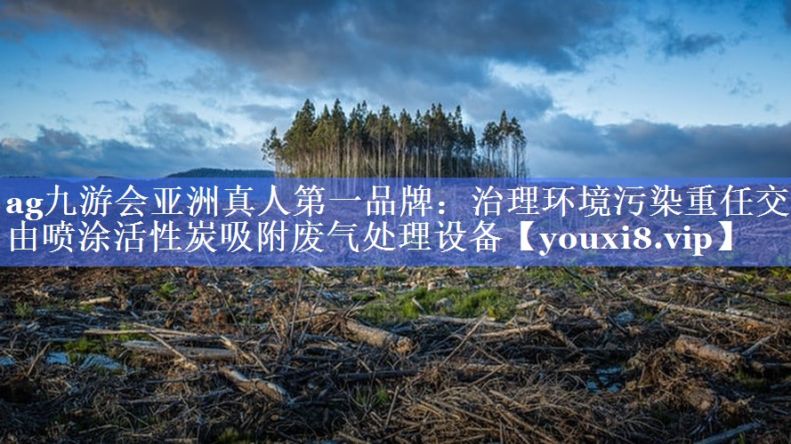 治理环境污染重任交由喷涂活性炭吸附废气处理设备