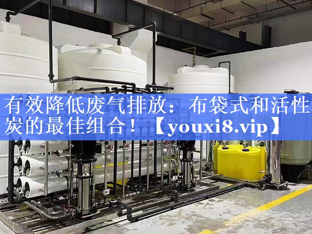 有效降低废气排放：布袋式和活性炭的最佳组合！