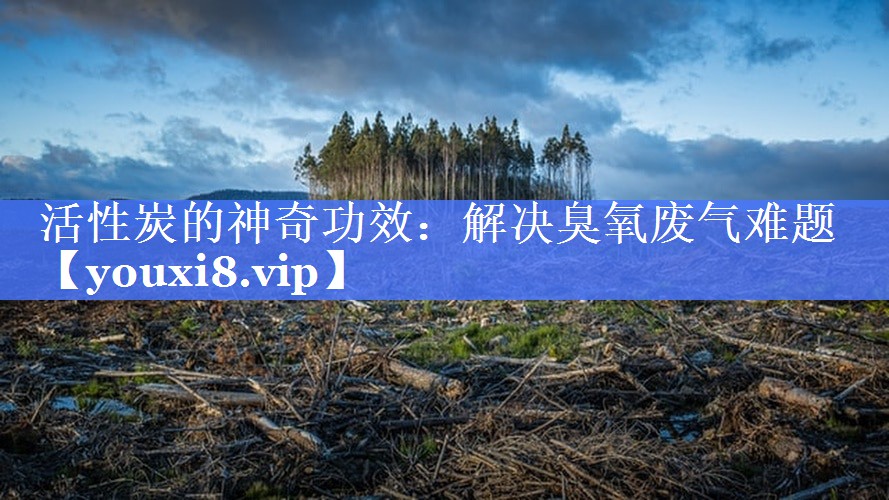 活性炭的神奇功效：解决臭氧废气难题